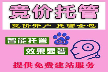 深度解析：百度竞价代理的优化策略与成功案例